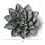 Grey Goyet Azalea ceramic wall flower — Japan collection — designed in Toronto by Chive Studio