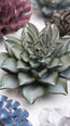 Grey Goyet Azalea ceramic wall flower styled on a white table with other flowers — Chive Studio