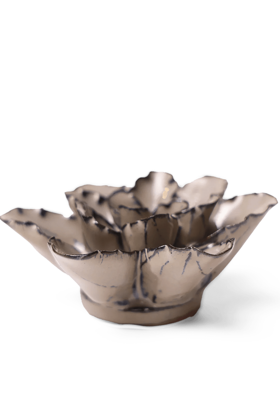 Latte Empress Lotus ceramic wall flower — Japan collection — designed in Toronto by Chive Studio