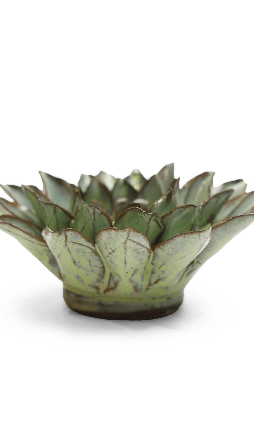 Green Aster ceramic wall flower — Japan collection — designed in Toronto by Chive Studio