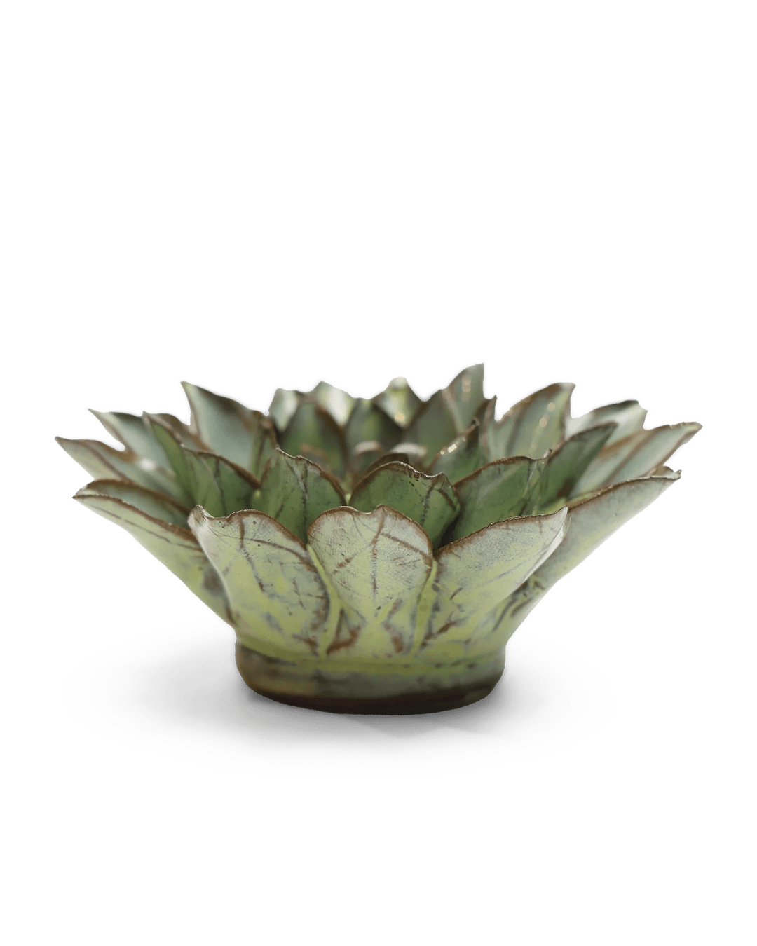 Green Aster ceramic wall flower — Japan collection — designed in Toronto by Chive Studio