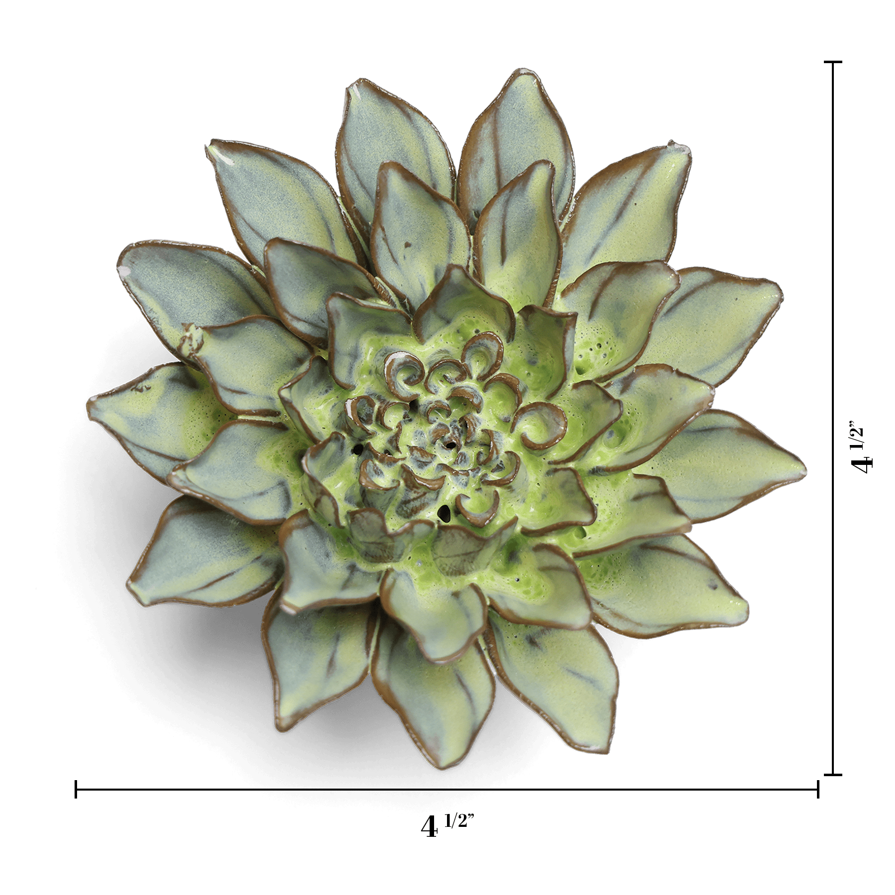 Green Aster ceramic wall flower — Japan collection — designed in Toronto by Chive Studio