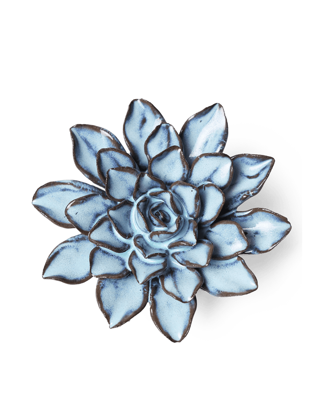 Blue Alpine Aster ceramic wall flower — Japan collection — designed in Toronto by Chive Studio