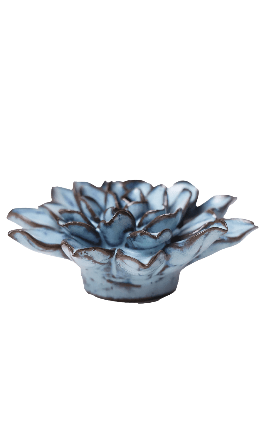Blue Alpine Aster ceramic wall flower — Japan collection — designed in Toronto by Chive Studio