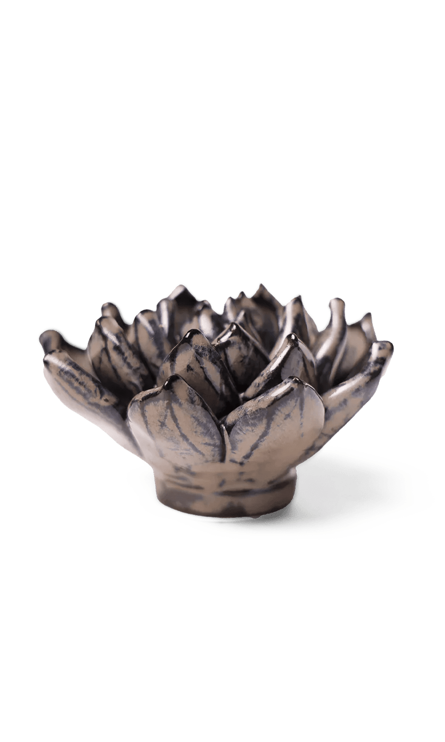 Latte Echeveria ceramic wall flower — Japan collection — designed in Toronto by Chive Studio