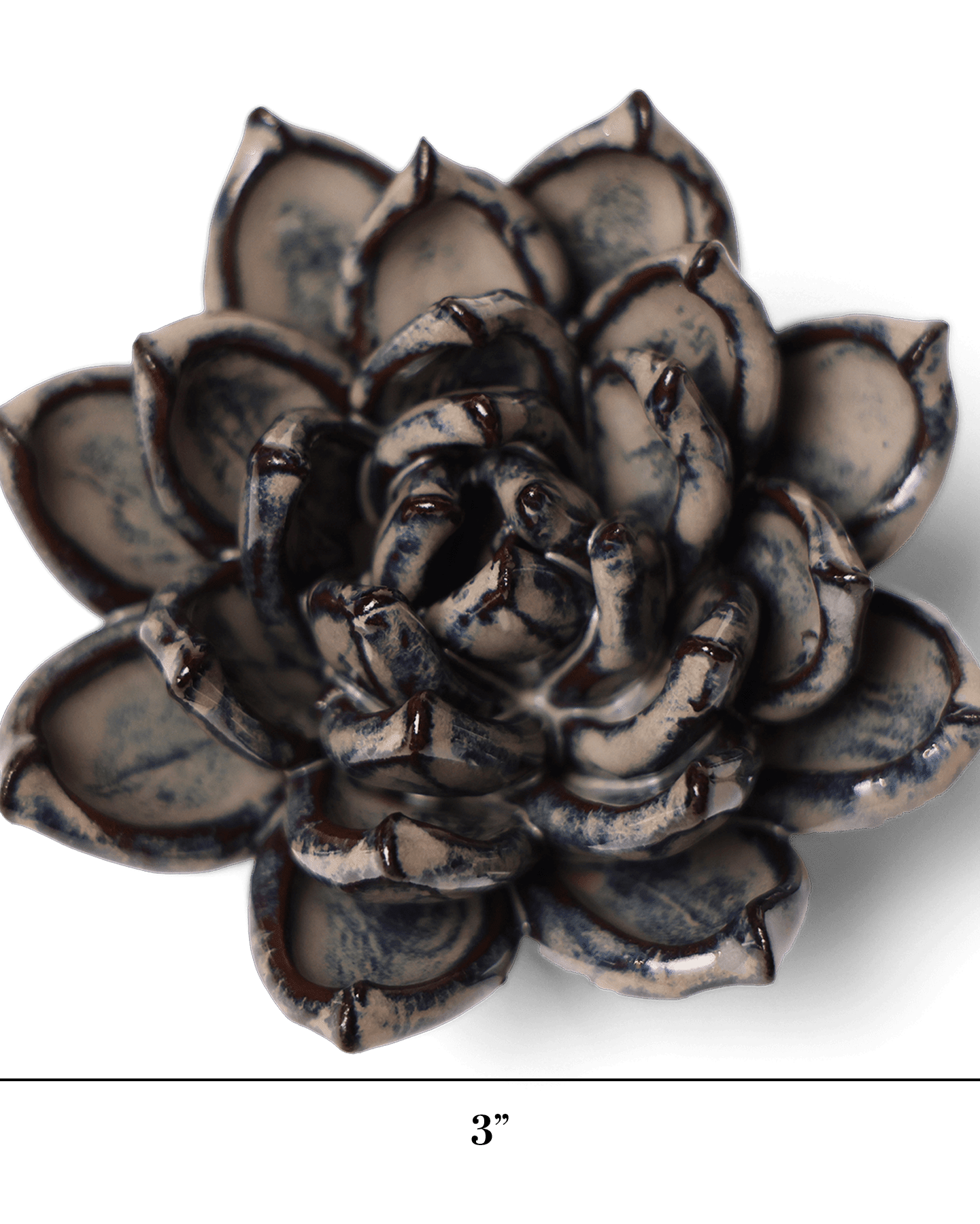 Latte Echeveria ceramic wall flower — Japan collection — designed in Toronto by Chive Studio