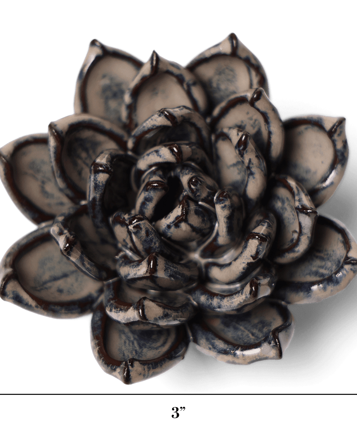 Latte Echeveria ceramic wall flower — Japan collection — designed in Toronto by Chive Studio