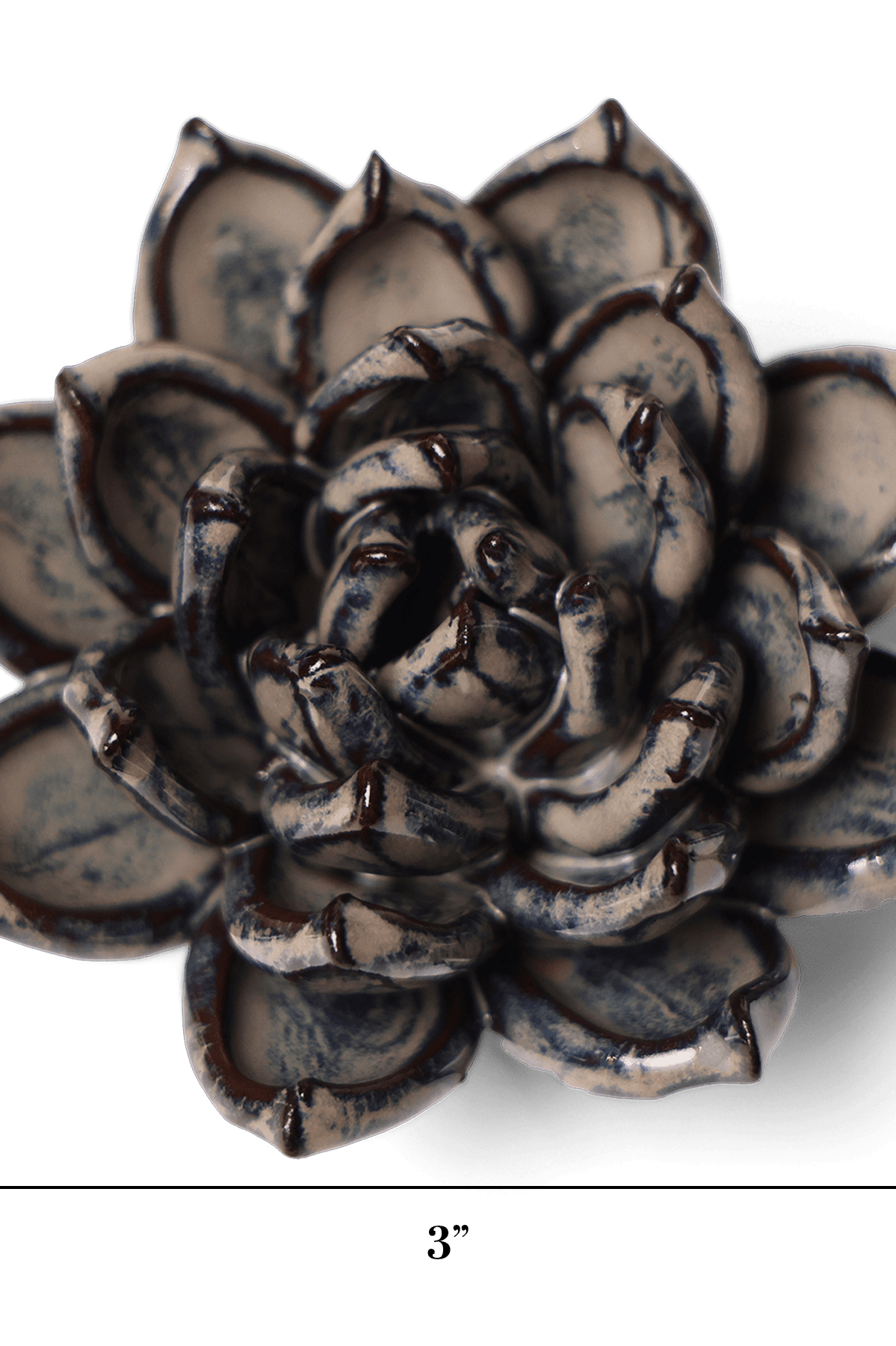 Latte Echeveria ceramic wall flower — Japan collection — designed in Toronto by Chive Studio