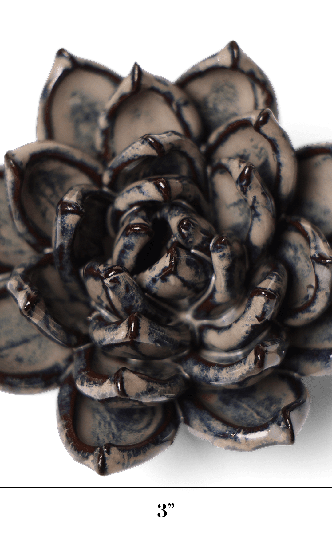 Latte Echeveria ceramic wall flower — Japan collection — designed in Toronto by Chive Studio