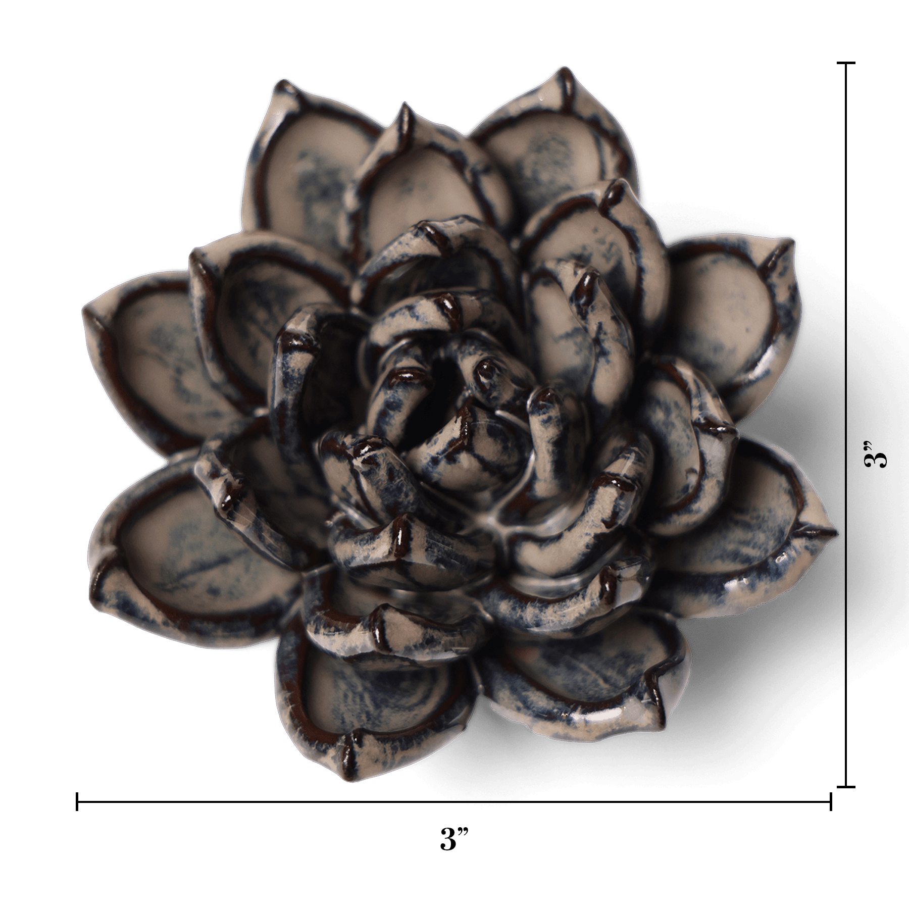 Latte Echeveria ceramic wall flower — Japan collection — designed in Toronto by Chive Studio