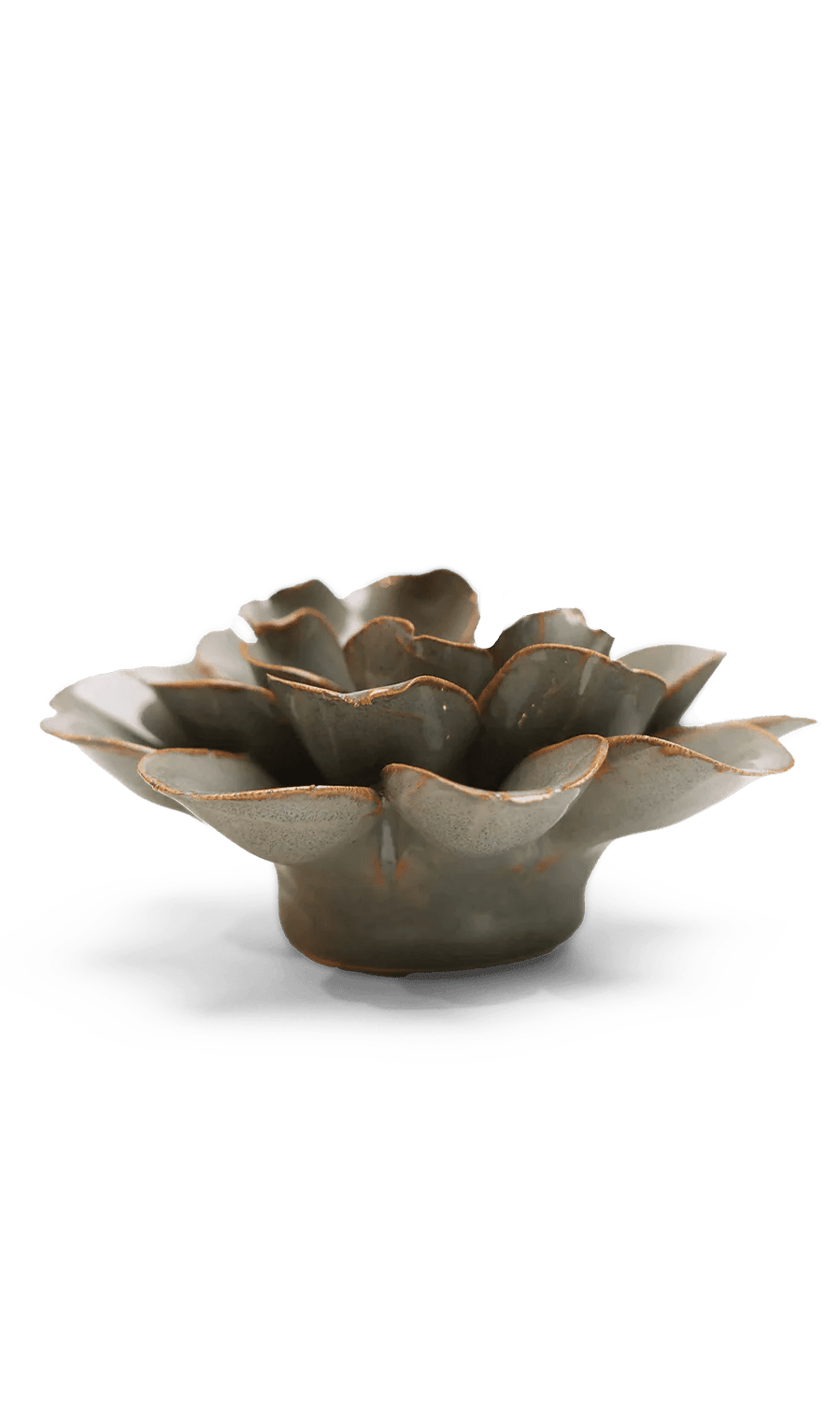 Grey Oxeye Daisy ceramic wall flower — Japan collection — designed in Toronto by Chive Studio