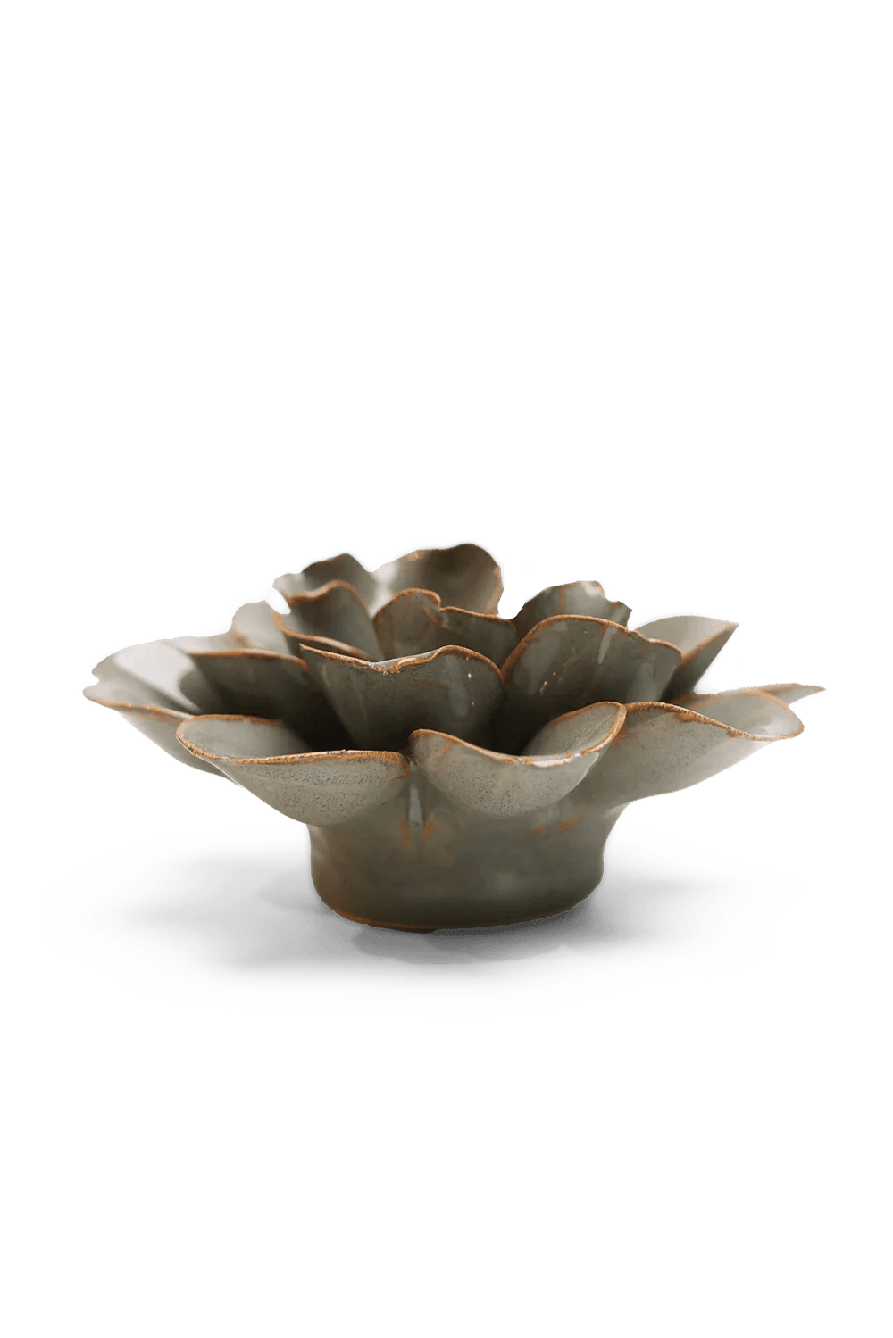 Grey Oxeye Daisy ceramic wall flower — Japan collection — designed in Toronto by Chive Studio
