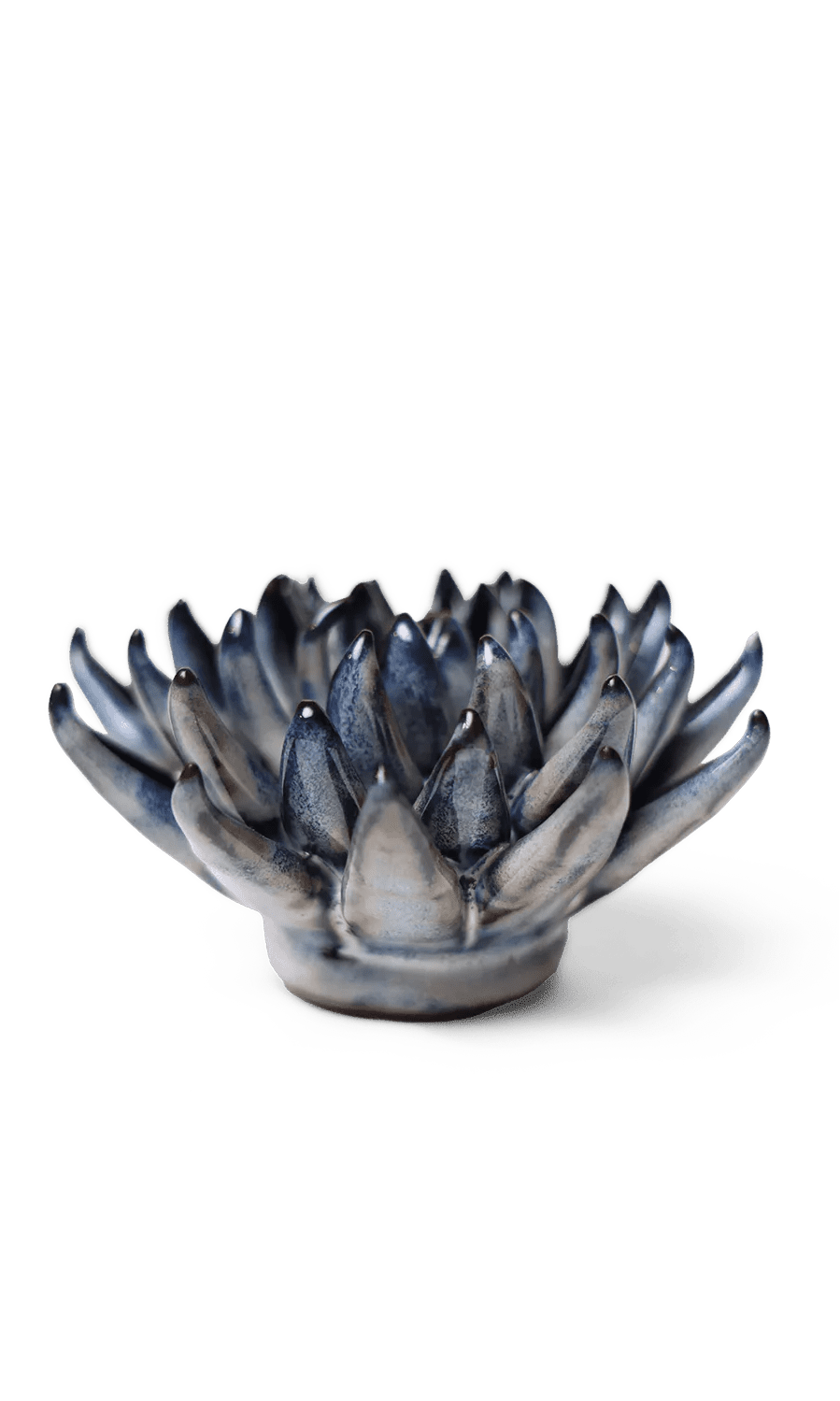 Navy Blue Succulent ceramic wall flower — Japan collection — designed in Toronto by Chive Studio