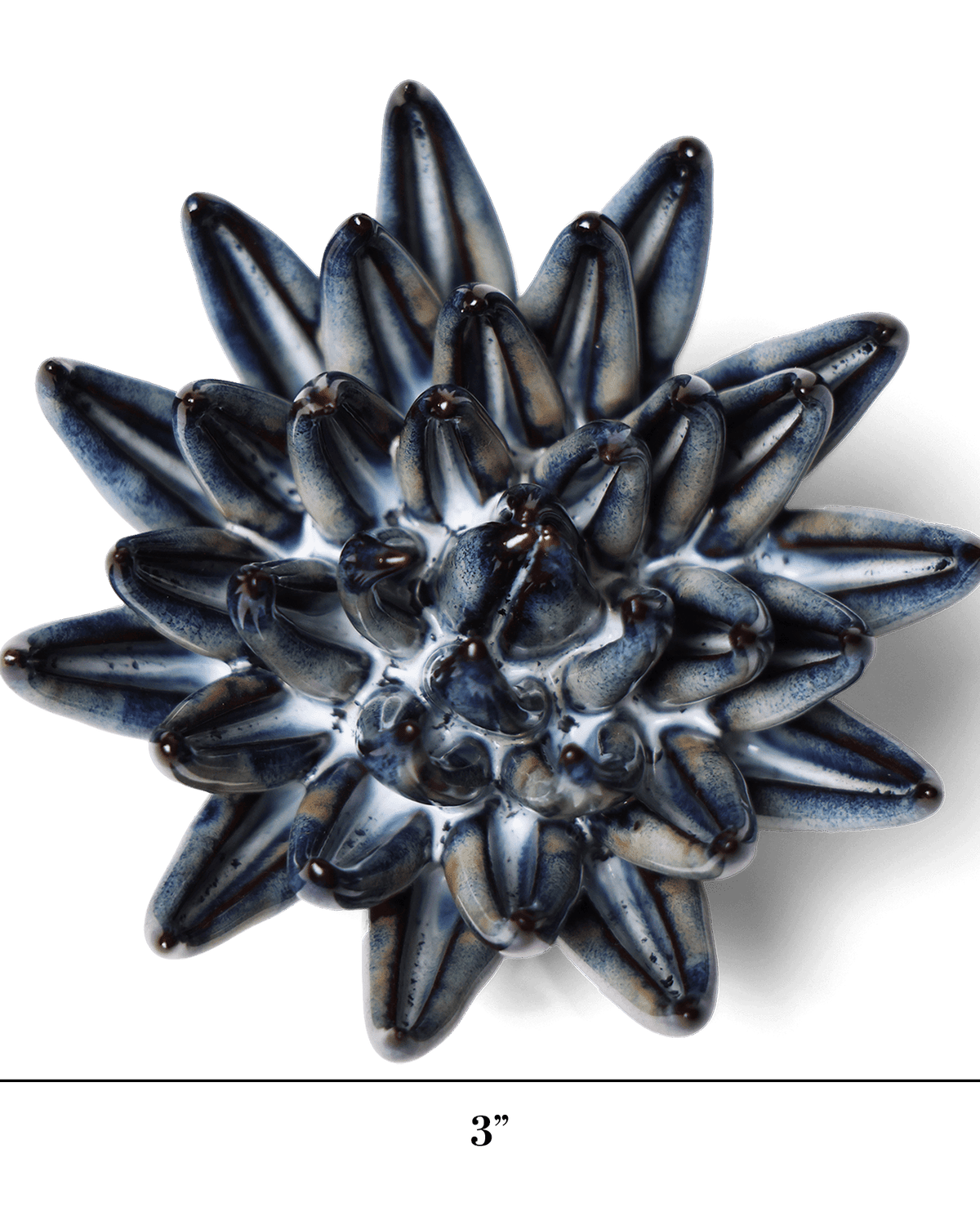 Navy Blue Succulent ceramic wall flower — Japan collection — designed in Toronto by Chive Studio