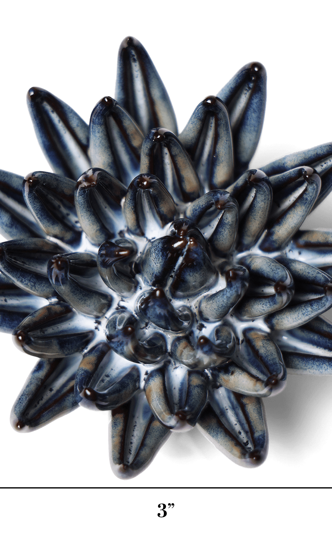 Navy Blue Succulent ceramic wall flower — Japan collection — designed in Toronto by Chive Studio
