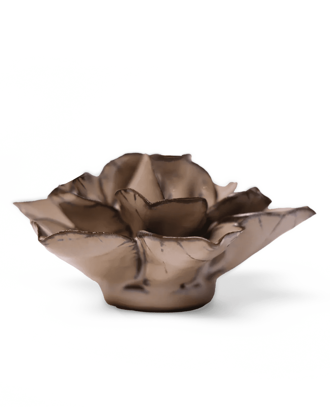 Latte Daffodil ceramic wall flower — Japan collection — designed in Toronto by Chive Studio