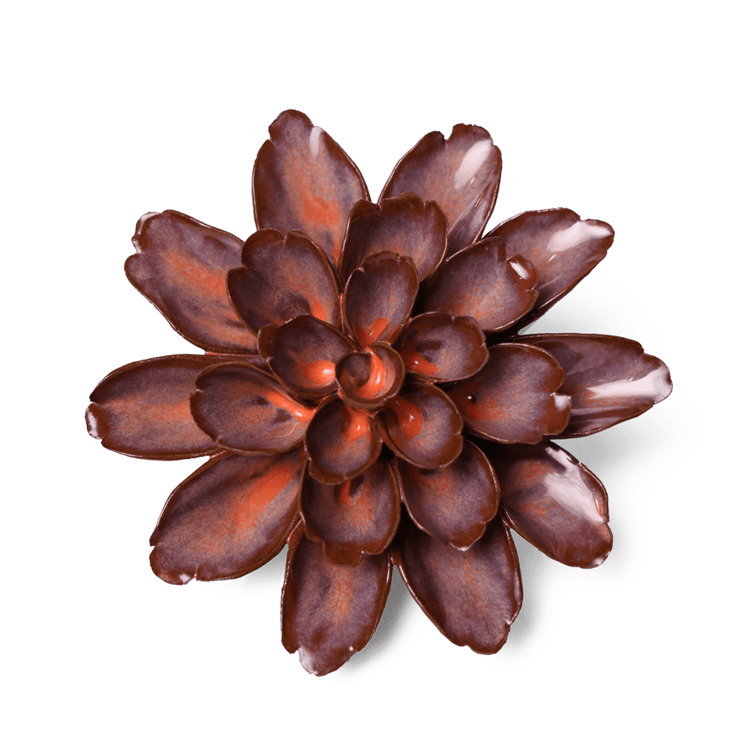 peach mocha cornflower ceramic wall flower — Japan Collection — designed in Toronto by Chive Studio