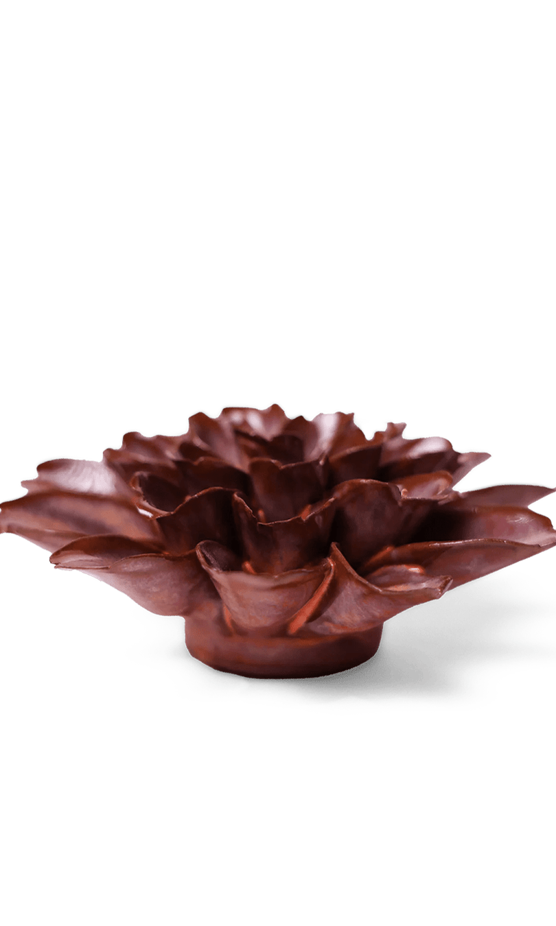 Peach Mocha Cornflower ceramic wall flower — Japan collection — designed in Toronto by Chive Studio