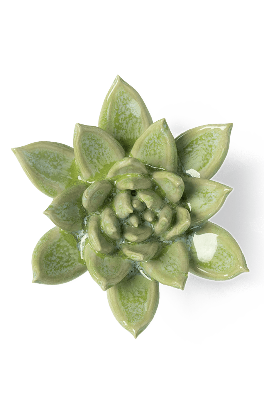JA20 Pea Green Ghost Succulent - Chive Ceramics Studio - Ceramic Flowers - Chive Ceramics Studio