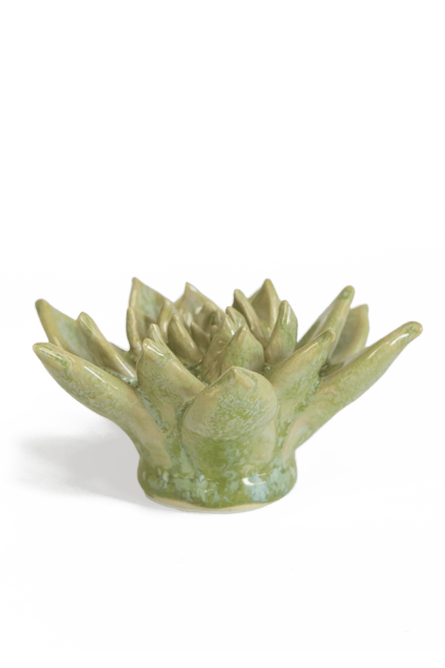 JA20 Pea Green Ghost Succulent - Chive Ceramics Studio - Ceramic Flowers - Chive Ceramics Studio
