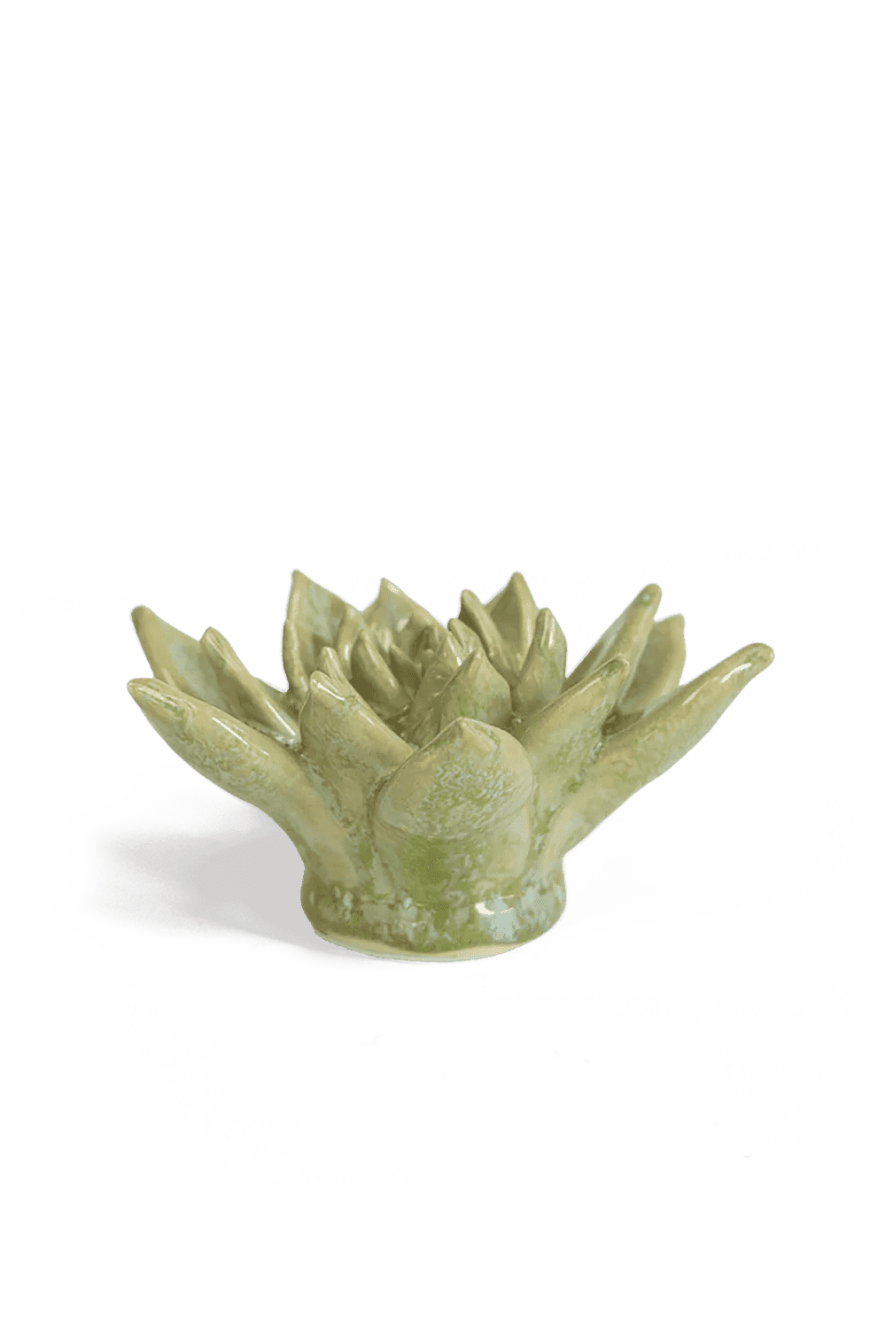 Pea Green Ghost Succulent ceramic wall flower — Japan collection — designed in Toronto by Chive Studio
