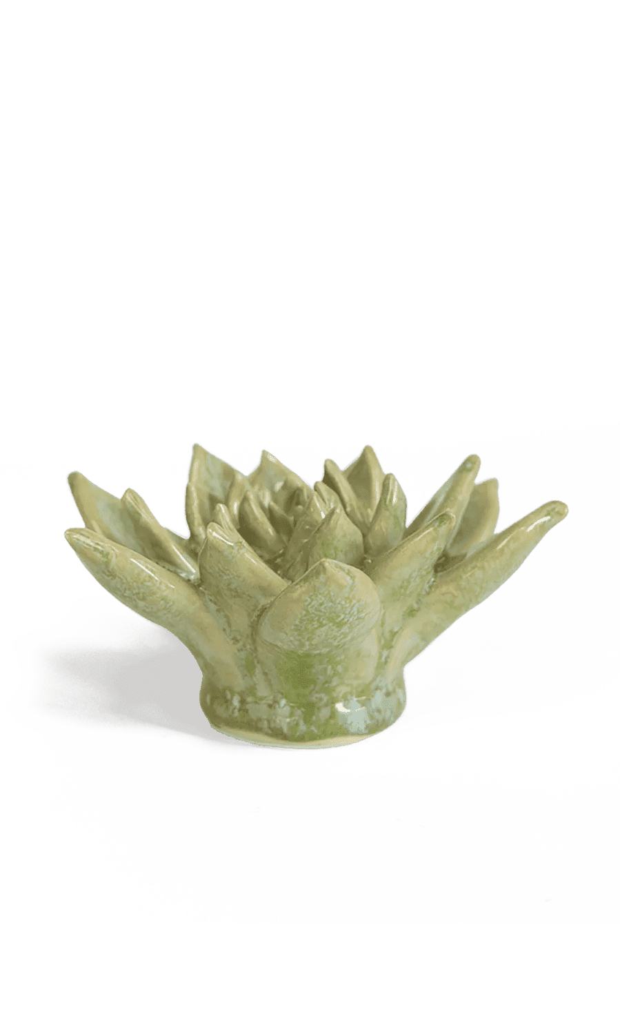 Pea Green Ghost Succulent ceramic wall flower — Japan collection — designed in Toronto by Chive Studio
