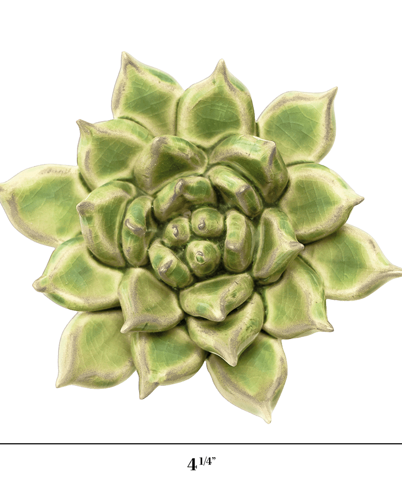 Pea Green Ghost Succulent ceramic wall flower — Japan collection — designed in Toronto by Chive Studio