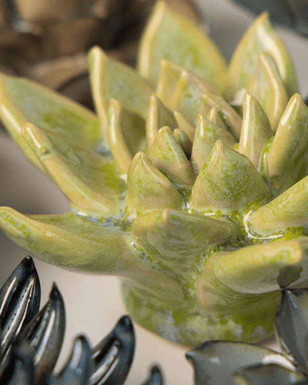 Pea Green Ghost Succulent ceramic wall flower styled on a white table with other flowers — Chive Studio