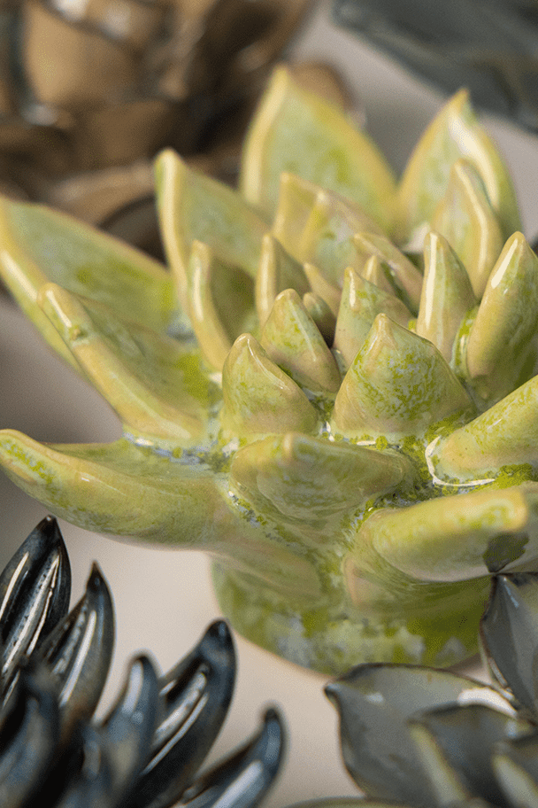 Pea Green Ghost Succulent ceramic wall flower styled on a white table with other flowers — Chive Studio