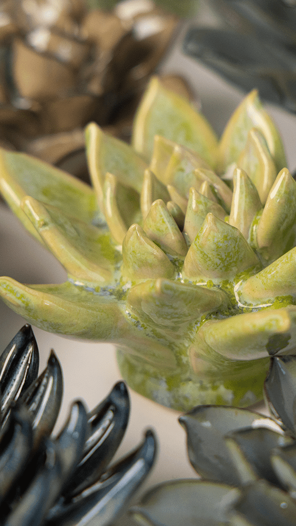 Pea Green Ghost Succulent ceramic wall flower styled on a white table with other flowers — Chive Studio