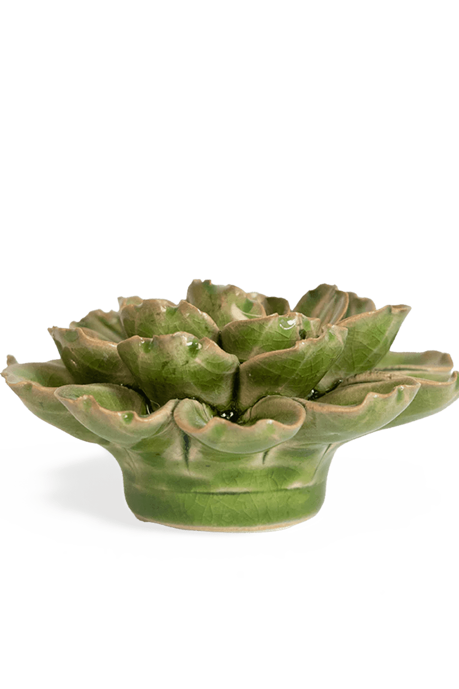 Avocado Green Petunia ceramic wall flower — Japan collection — designed in Toronto by Chive Studio