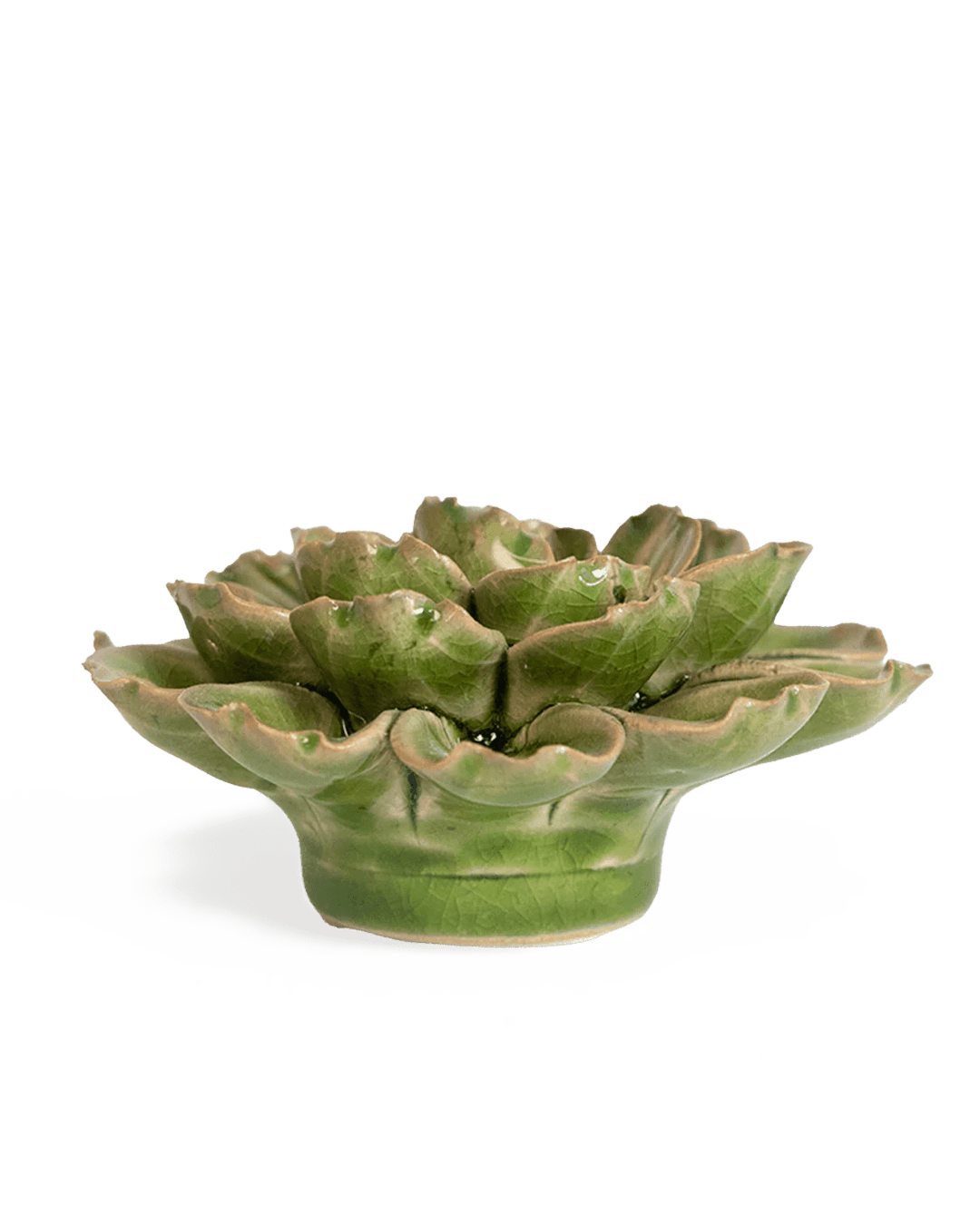 Avocado Green Petunia ceramic wall flower — Japan collection — designed in Toronto by Chive Studio