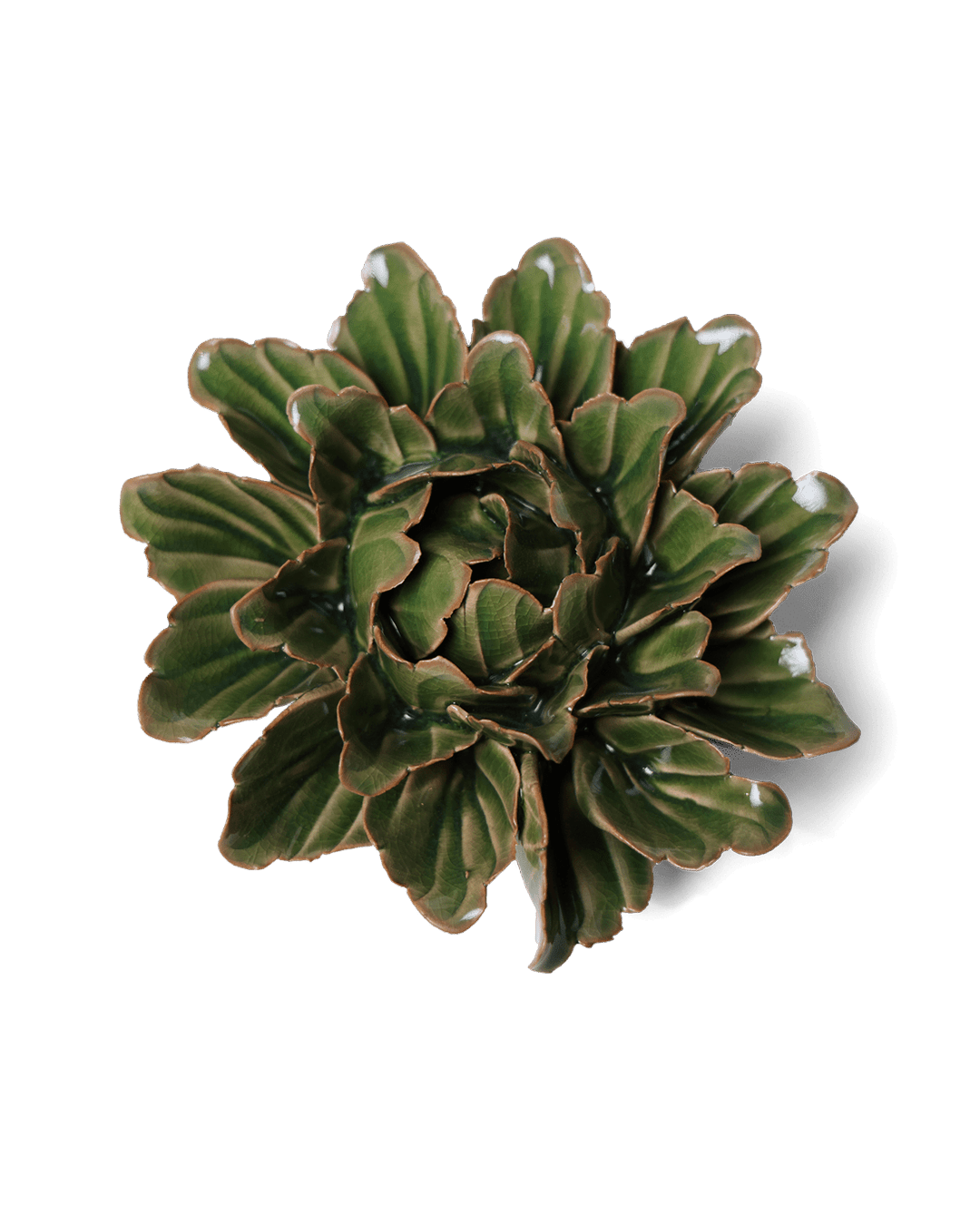 Avocado Green Sorbet Peony ceramic wall flower — Japan collection — designed in Toronto by Chive Studio