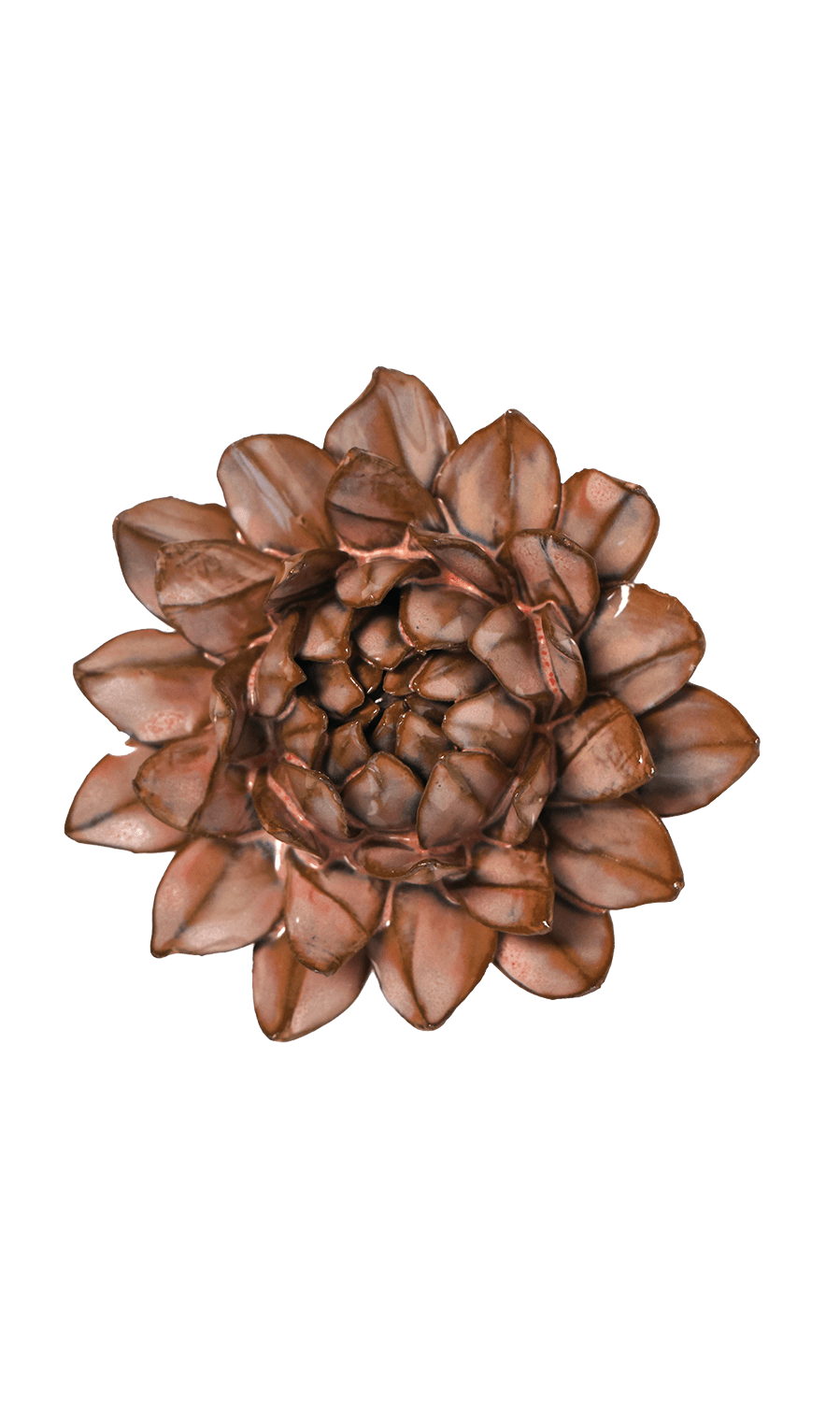 Protea ceramic wall flower —Japan collection — Chive Ceramics Studio