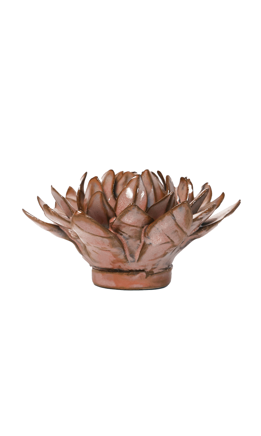 Protea ceramic wall flower — Japan collection — Chive Ceramics Studio