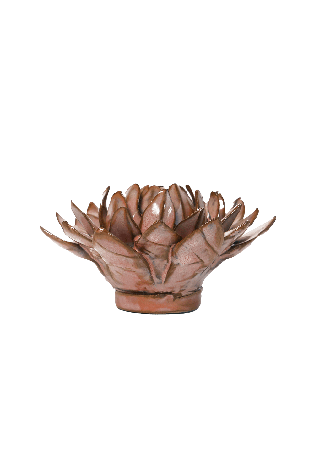 Protea ceramic wall flower — Japan collection — Chive Ceramics Studio