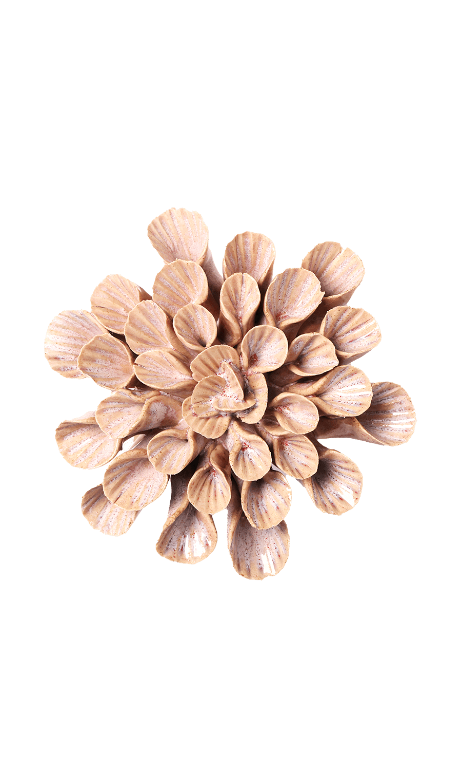 Great Star ceramic wall flower — Japan collection — Chive Ceramics Studio