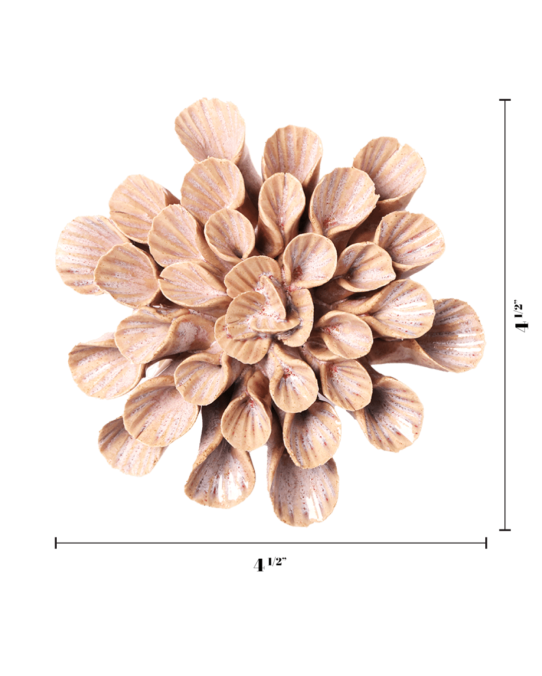 Great Star ceramic wall flower — Japan collection — Chive Ceramics Studio