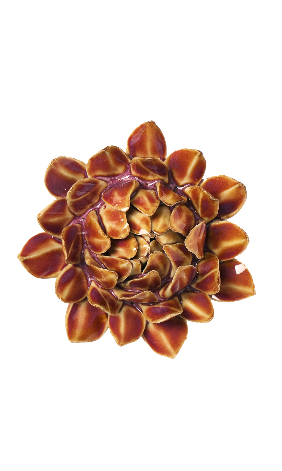Caramel Protea ceramic wall flower - Japan collection - Chive Ceramics Studio