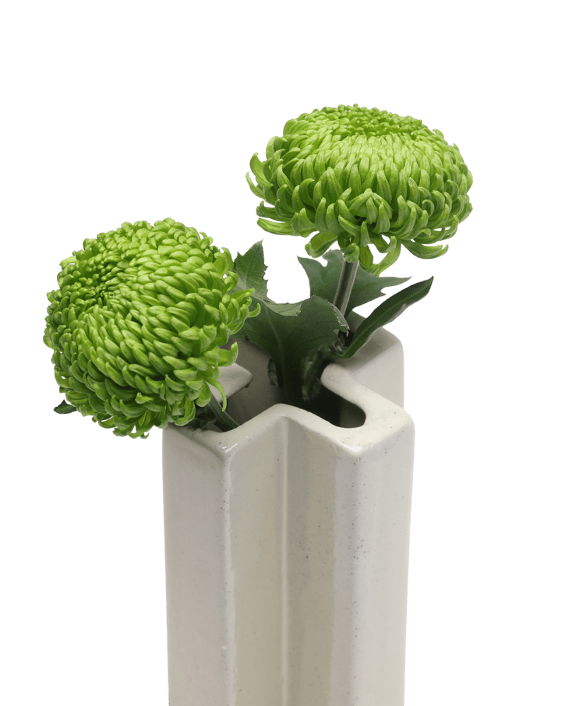 Jargogle Ceramic Unique Flower Vase - Chive Ceramics Studio - Vases - Chive Ceramics Studio