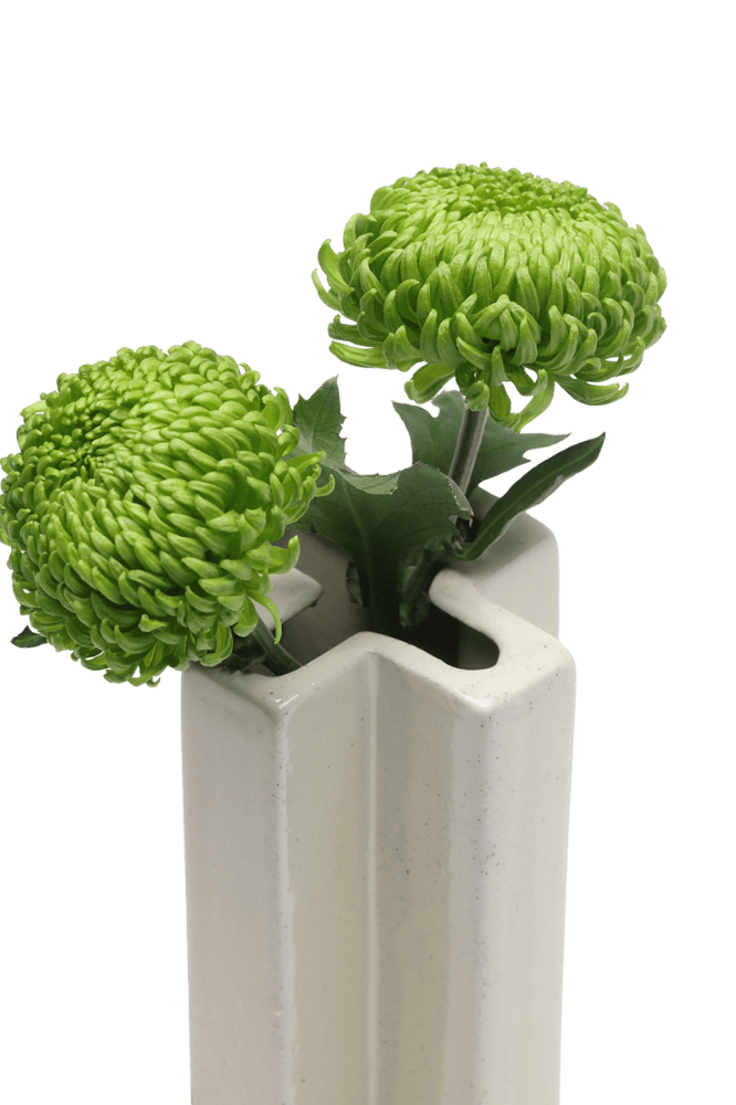 Jargogle Ceramic Unique Flower Vase - Chive Ceramics Studio - Vases - Chive Ceramics Studio