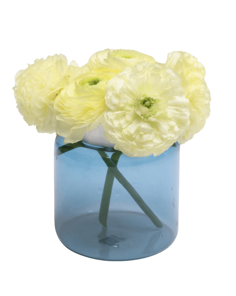 Jar Glass Modern Flower Vase - Chive Ceramics Studio - Vases - Chive US