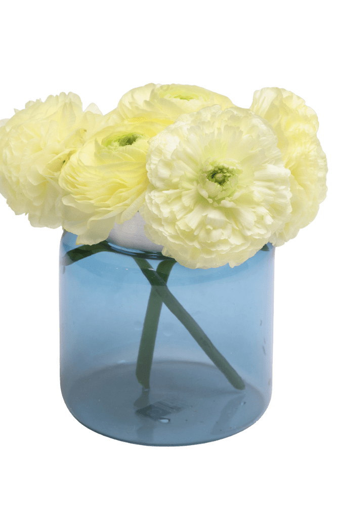Jar Glass Modern Flower Vase - Chive Ceramics Studio - Vases - Chive US