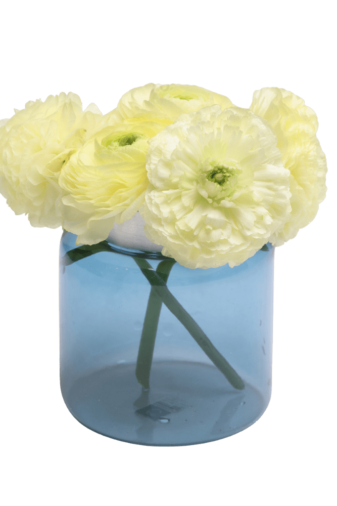 Jar Glass Modern Flower Vase - Chive Ceramics Studio - Vases - Chive US