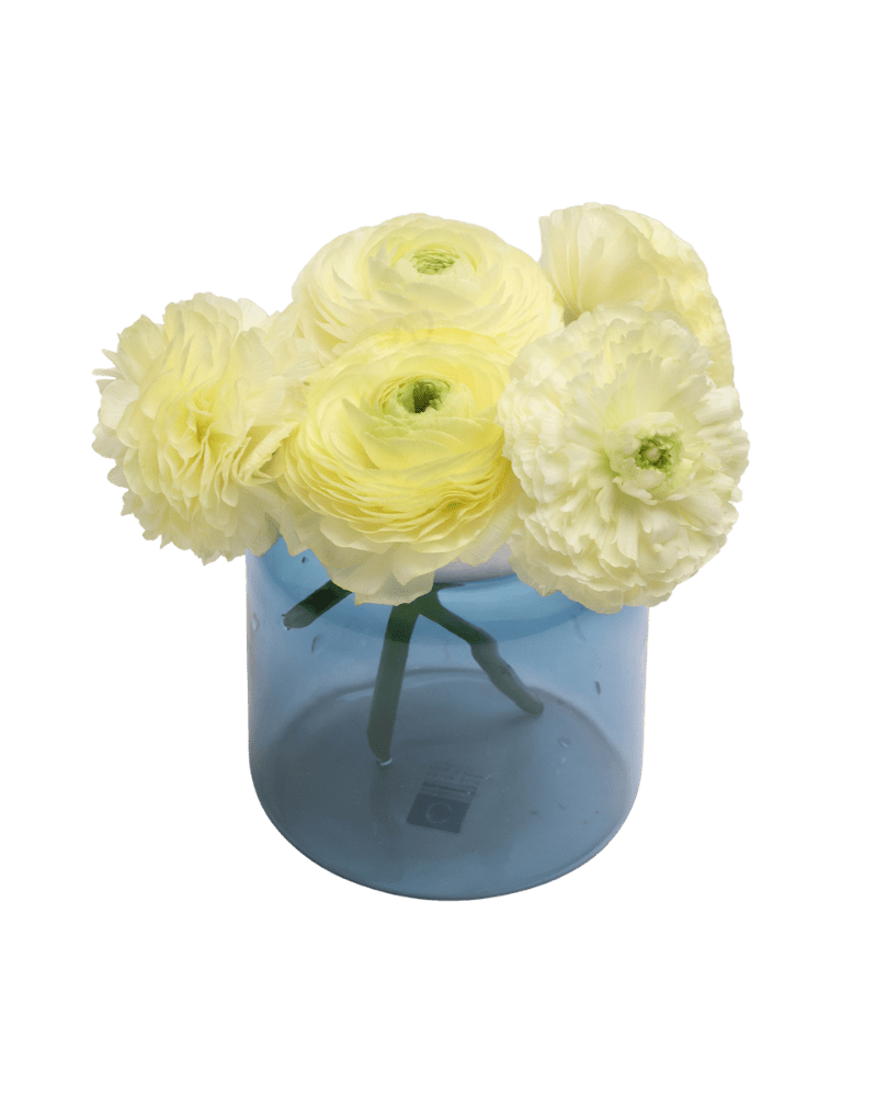 Jar Glass Modern Flower Vase - Chive Ceramics Studio - Vases - Chive US