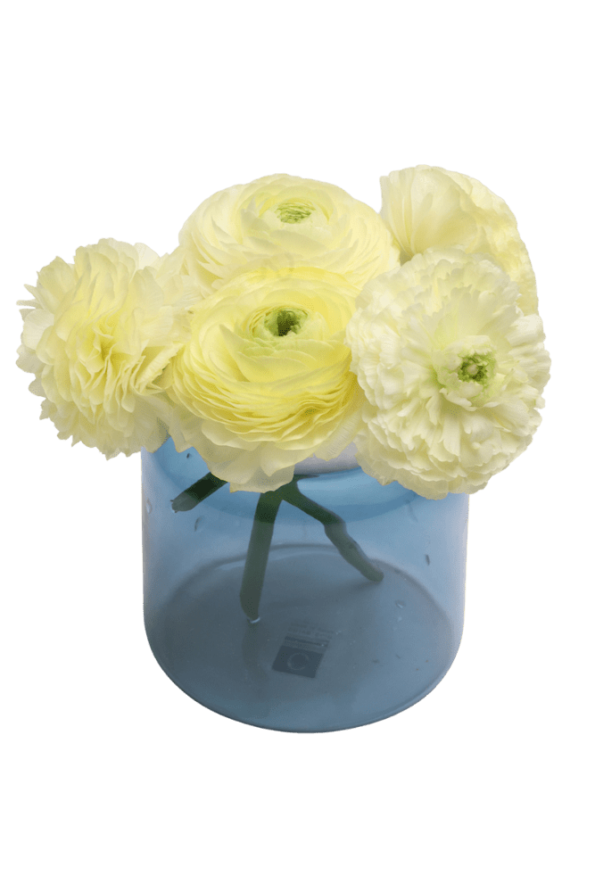 Jar Glass Modern Flower Vase - Chive Ceramics Studio - Vases - Chive US