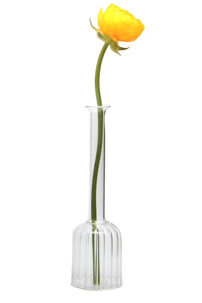 Jeanie Glass Modern Clear Flower Vase - Chive Ceramics Studio - Vases - Chive Ceramics Studio