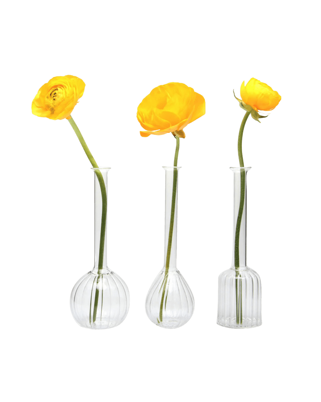 Jeanie Glass Modern Clear Flower Vase - Chive Ceramics Studio - Vases - Chive Ceramics Studio