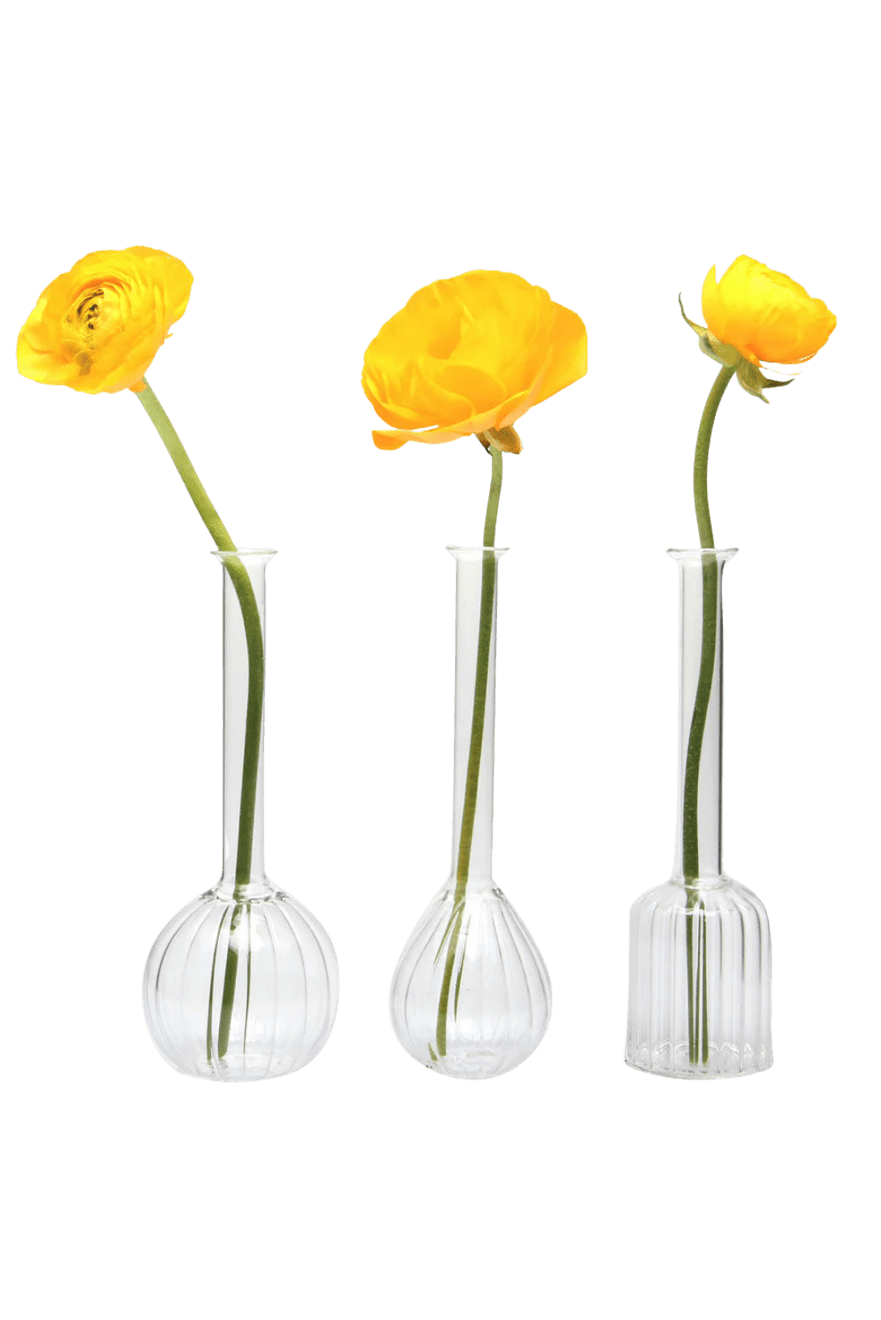 Jeanie Glass Modern Clear Flower Vase - Chive Ceramics Studio - Vases - Chive Ceramics Studio