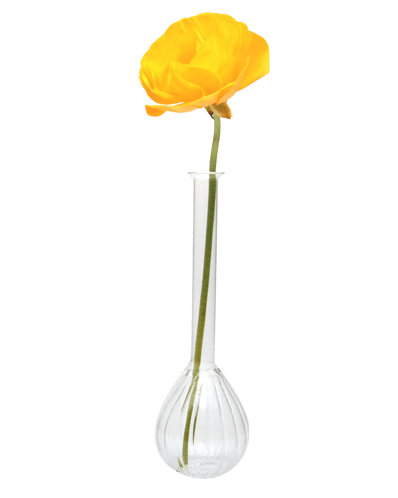 Jeanie Glass Modern Clear Flower Vase - Chive Ceramics Studio - Vases - Chive Ceramics Studio